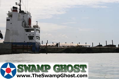 TheSwampGhost.com